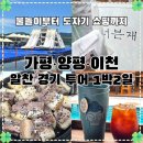 경기도 여행 일기 | 가평 물놀이부터 양평·이천까지! 1박 2일 여행 코스 총정리 (숙소, 맛집, 카페...
