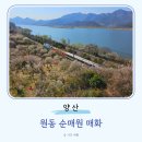 원동주유소 공중화장실 | 양산 원동 순매원 매화 실시간 개화상태 주말 주차 기차시간
