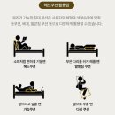 결혼 준비 :) 나도샀다!! 이사 로망 까사미아 캄포 클래식 소파&amp;침대 구매 후기