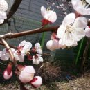 삼일어린이집 이미지