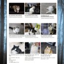 블루드라이어드 이미지