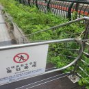 영등포구 문래동 주민센터 내 내손안에서울