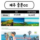 12월 제주 중문cc 할인라운딩!! 이미지