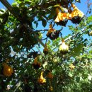 최문학축사 이미지