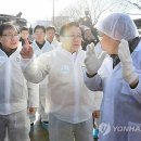 부천시축산물공판장 이미지