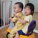 영월치킨센타 이미지