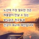 인생은 일장춘몽 이미지