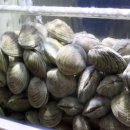 한산조개구이 이미지