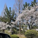 사파동172 | [창원/사파동] 호주 갬성 벨그레이브[BELGRAVE] 호주식 브런치 뿌수기