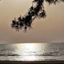 동호농장 이미지