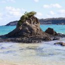 (유)한국렌트카 이미지