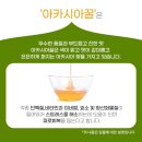 비마 이미지