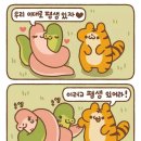 미던 이미지