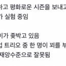 김혜성 타선으로 보는 키움의 상태 이미지