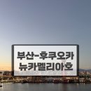 세븐일레븐 부산범천세운점 | [뉴카멜리아호]부산-후쿠오카 왕복(카드, 배달, 멀미, 2등석, 꿀팁, 수화물 제한, 내돈내산)