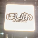 2023.11.29 별내 [호시카와] 돈카츠 맛집 크림카츠나베&amp;카츠카레 후기!