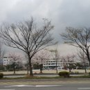 분당구청 이미지