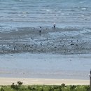 배가정원민박 이미지