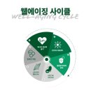 웰빙파워 | 강아지영양제 노령견영양제 이터널 파워 파우더 급여후기🦴