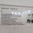 푸른 마가렛