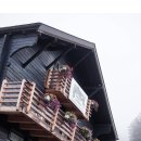 에델바이스 민박 이미지