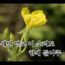 봄이오면