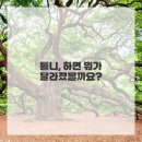 이세상치과기공소 | 다시 찾은 자신감! 편안한 식사 &amp; 환한 미소, 제 틀니 후기 대공개요!