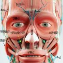 예쁜 얼굴 만들기 이미지