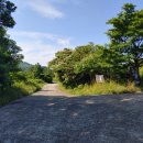 구좌공설묘지 이미지