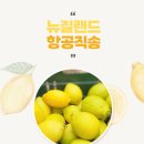 농부의 과일창고
