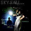 SKYFALL(스카이폴) - EVn Full Movie DJ SEARCHER(이요한), Electricviolin EJ(박은주) 이미지