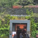 라그로타 예약 팁과 메뉴 후기, 곤지암리조트 내 조용한 식당 찾는다면_콜키지까지