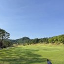 주식회사 러프티하우스 | [엘리시안 강촌 CC] Lake 코스 라운드 후기 (레드티 레이디티 시야 )
