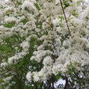 성덕한의원 이미지