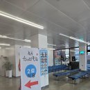 동해물회 | 동해 속초 최고 인기 물회 맛집 내돈내산 솔찍 리얼 후기