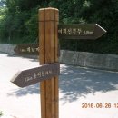 병목목장 이미지