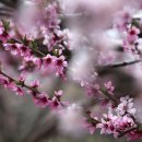 푸른농장 이미지