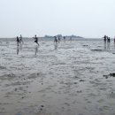 은행정농장 이미지