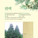 강남경기검도관 이미지