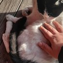 수궁동주민센터(1) 이미지