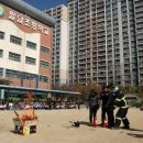 팔달초교 이미지