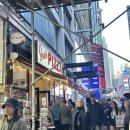 뉴욕 맛집- 조스피자 Joe&#39;s Pizza, 뉴욕 가성비 오이스터바 Mermaid Oyster Bar, 백종원 치즈케이크...