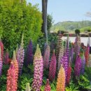 순천만여행스케치 이미지