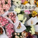 논현역꽃집, 논현동 꽃집 :: 꼰띠고플로라에서 도매꽃 구입 후기