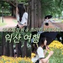 주식회사 도시정원묘한세상 | 익산여행 필수 코스 추천! 아가페정원 &amp; 술지순례 초이리브루어리 당일치기