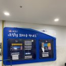 울릉도 오징어회타운, 독도스낵, 대박치킨 저녁 포장 후기