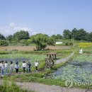 통일상사 이미지