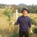 덕이네농장 이미지