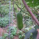 경인로304번길 이미지