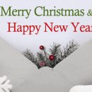 써니케어 이미지